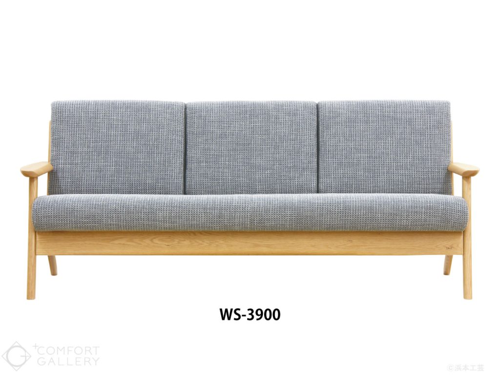 WS-3900